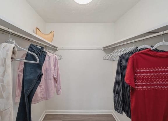 Closet View at Williamsburg South, Pittsburgh