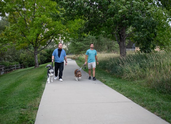 two people walking their dogs down a sidewalk