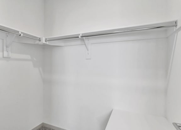 Spacious Walk in Closet