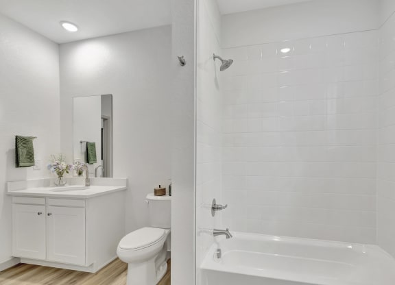 a bathroom with a shower and a toilet and a sink