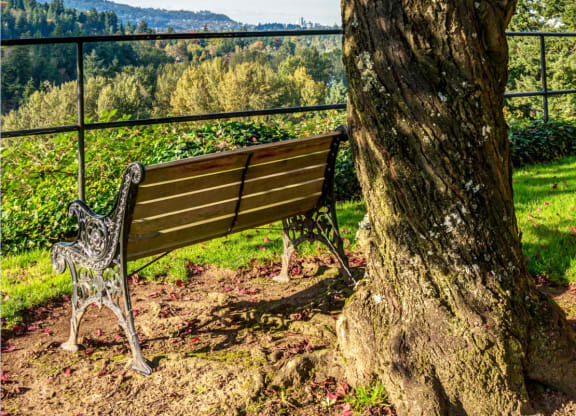 a bench sitting under a tree next to a tree at Overlook at the Willamette, Milwaukie ?