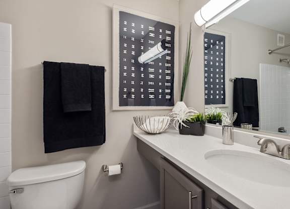 Luxurious Bathroom at ReNew Wheaton Center, Illinois