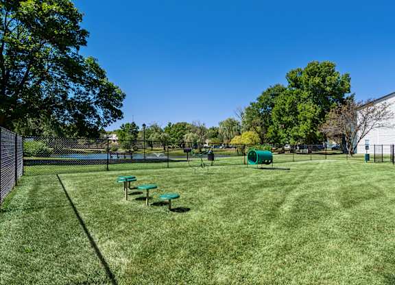 A sunny day at the park with green grass and picnic tables.