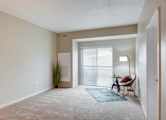 A room with a carpet, a chair, a potted plant, and a lamp.