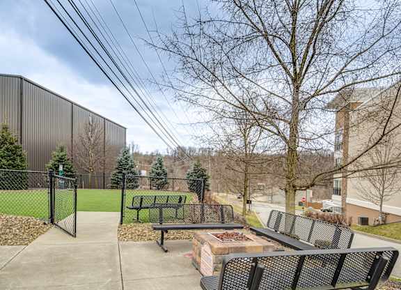 A park with a fence, benches and trees.
