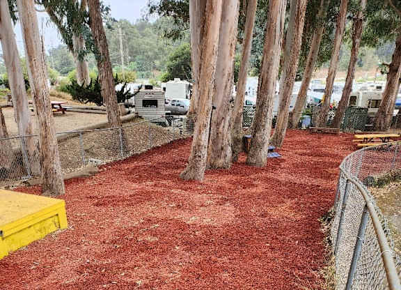 A red mulched area with a fence on the right side at Salinas Sunset Apartments, Salinas, CA, 93907