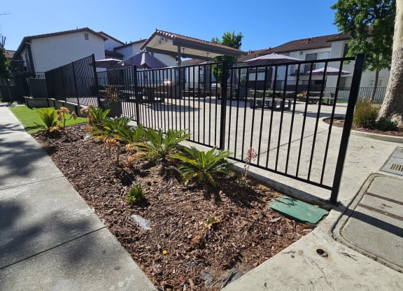 courtyard at Alturas Paso Robles Apartment Homes, Paso Robles, CA