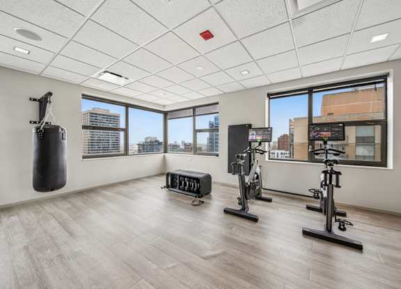 A gym with a punching bag, treadmill, and other exercise equipment.