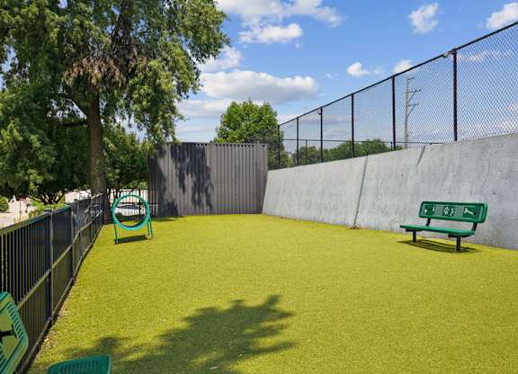 A green dog park with a bench and a fence.