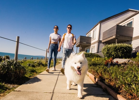 two people walking a white dog down a sidewalk