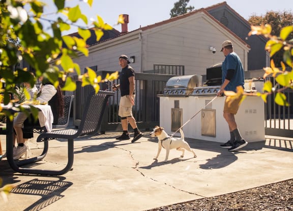 a man is standing on a patio with a dog