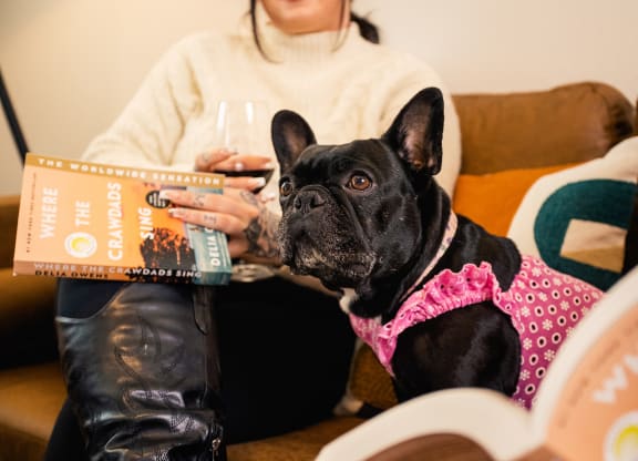 a woman sitting on a couch with her dog and reading a book