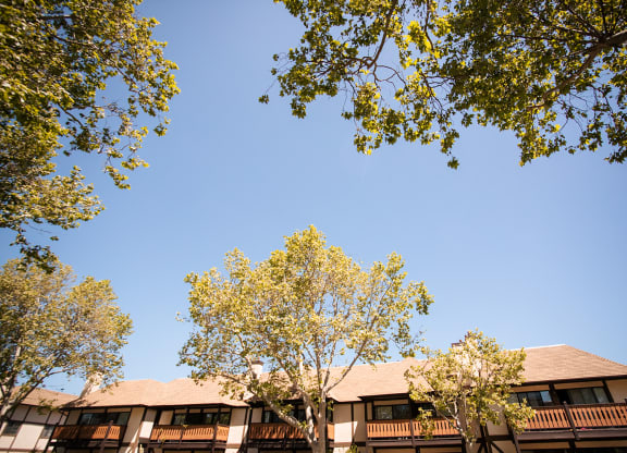 a view of a building with trees in front of it at Oak Park Apartments, California