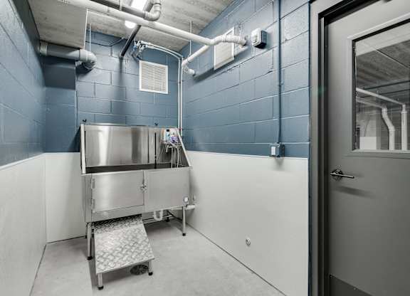Indoor pet washing station at The Shale, Minnesota, 55406
