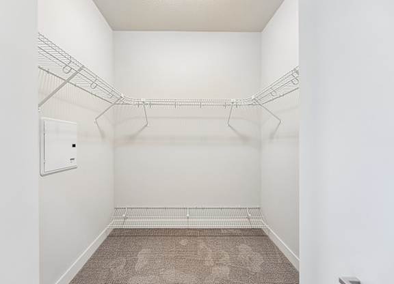 A white closet with a carpeted floor and a metal rack.