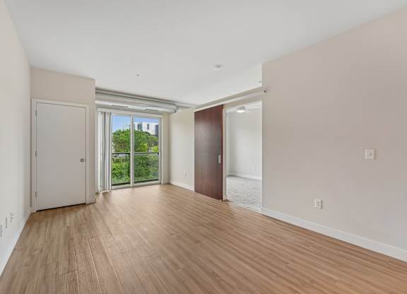A room with a white wall and a brown door.