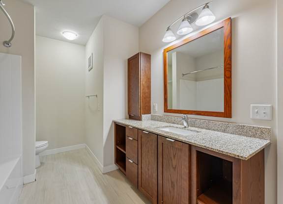 A bathroom with a sink, mirror, and wooden cabinets.