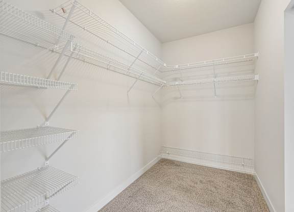 Empty walk-in closet with white shelving and carpeted floor.