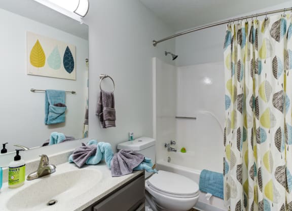 a bathroom with a shower toilet and sink