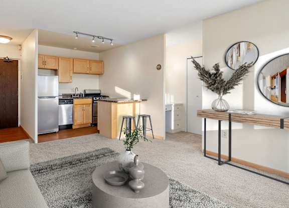 A modern living room with a grey sofa and a grey rug.