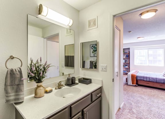 a bathroom with a sink and a mirror