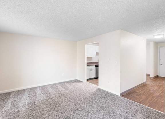A spacious room with a carpeted floor and a kitchen visible in the background.