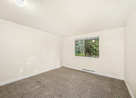 A room with a carpeted floor and a window showing trees outside.
