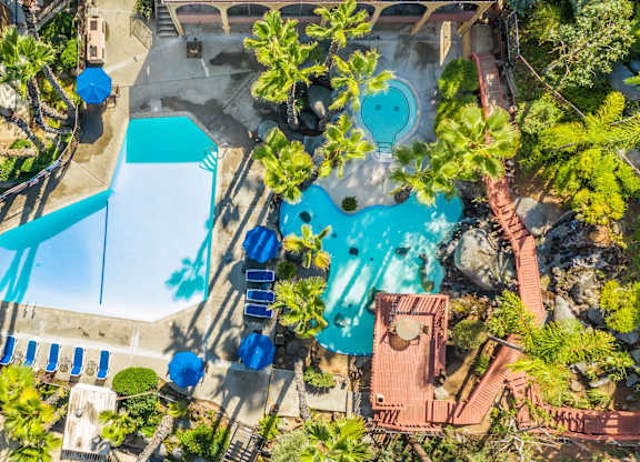 An aerial view of a pool surrounded by trees and a slide.