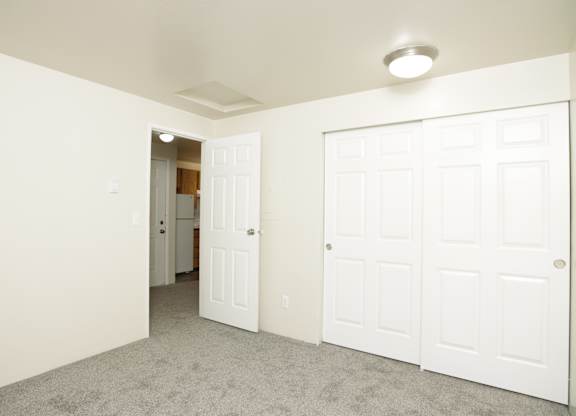 A room with two white doors and a carpeted floor.