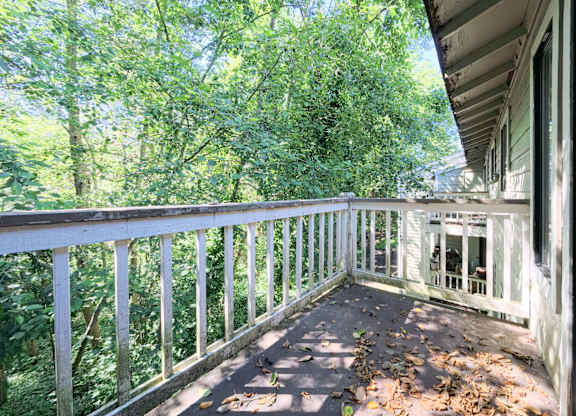 A balcony with a white railing overlooks a forest.