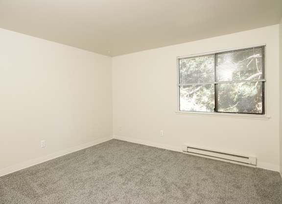 A room with a window and a carpeted floor.
