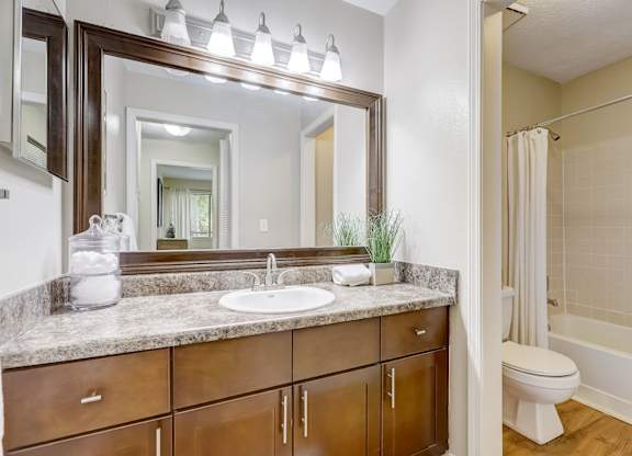 A bathroom with a sink, mirror, and a toilet.