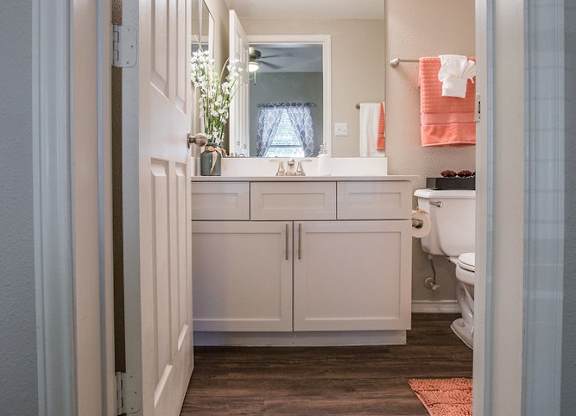 A bathroom with a white vanity and a mirror above it.
