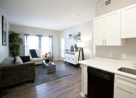 A kitchen with a dishwasher and a sink.