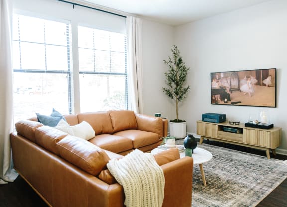 Tapestry at Hollingsworth Park living room with a brown leather couch and a tv