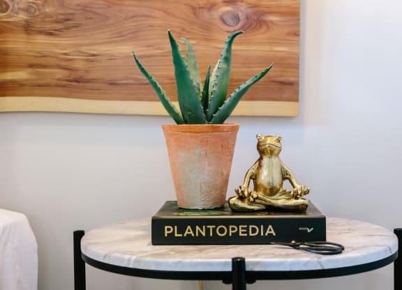 a side table with a plant and a gold bear on it at Tapestry at Hollingsworth Park