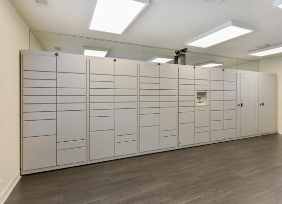 A room with a large white cabinet with drawers and a small plant on top.