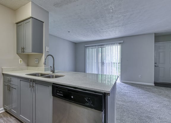 a kitchen at Wynnwood Vinings Atlanta with gray cabinets and a stainless steel dishwasher