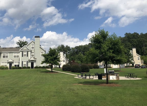 Grassy pet friendly green space with picnic area at Millennium Apartments Greenville SC