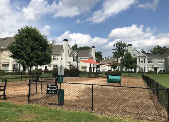 a fenced in dog park at Millennium Apartments Greenville SC