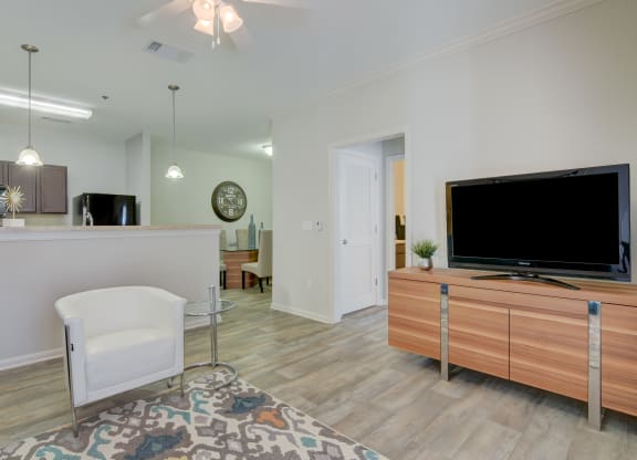 heights at converse apartments living room with couch and tv