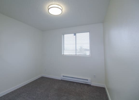 Modern Lights