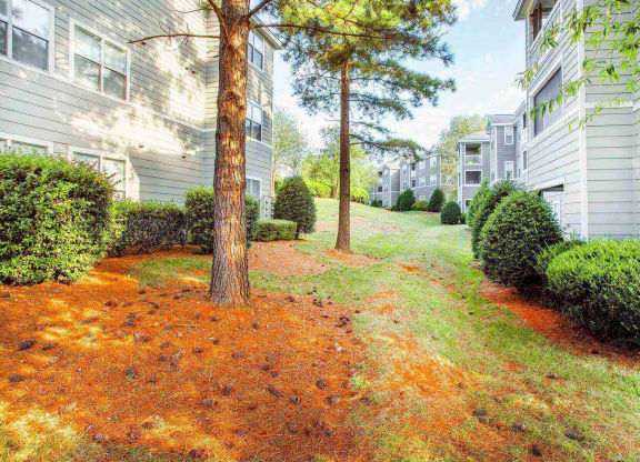 Grassy shaded park like area good for walking dogs at Seasons at Umstead apartments in Raleigh