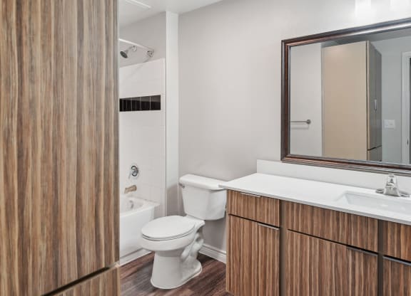 a bathroom with a toilet and a sink and a mirror