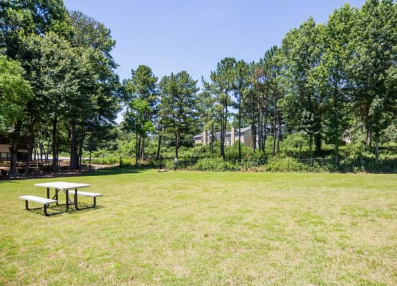Open Lawn