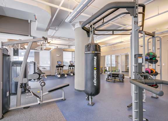 A gym with a punching bag and a variety of exercise equipment.