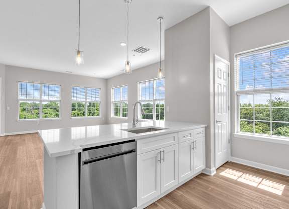A kitchen with white cabinets and a stainless steel dishwasher.