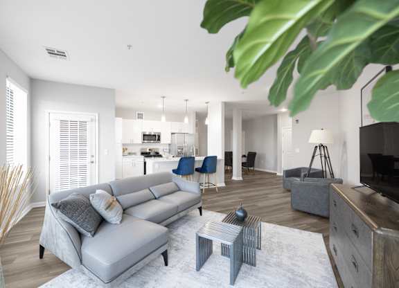 A living room with a grey sofa and a white rug.