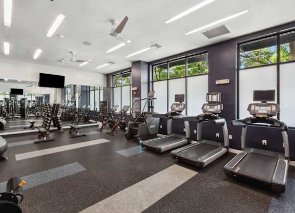 Fitness Center With Updated Equipment at Metro 303, Hempstead