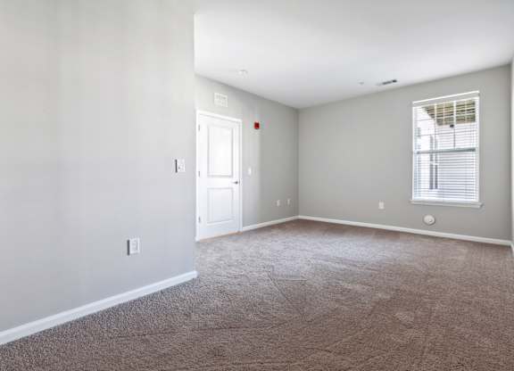 Plush Carpeting at West 130, New York 